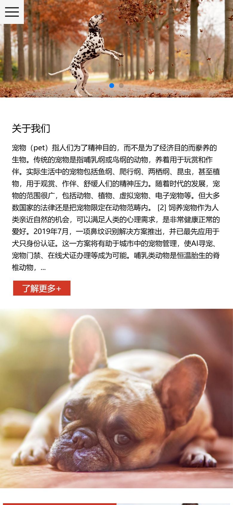 宠物粮食企业官网建设方案